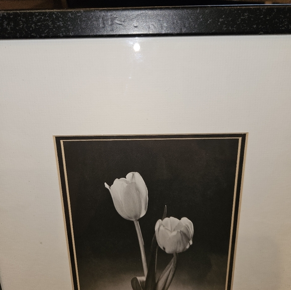 3 black and white framed flower pictures - Picture 10 of 12